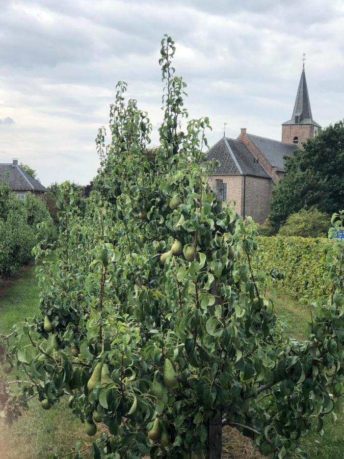 Gastenverblijf Op De Prins Hendrik Hoeve In Buren Buren  Luaran gambar