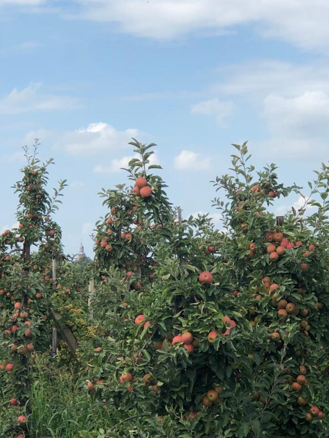 Gastenverblijf Op De Prins Hendrik Hoeve In Buren Buren  Luaran gambar